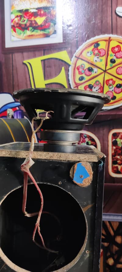 10 inch speakers Double magnet original Coil