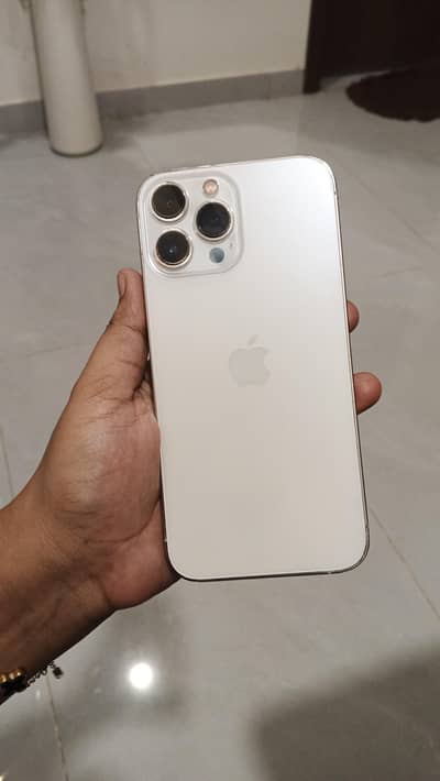 Apple iPhone 13 Pro Max