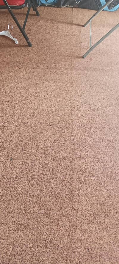 wall to wall carpet