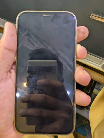 Apple iPhone 12 Pro