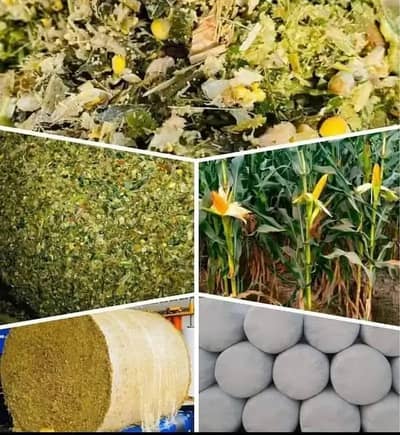Silage /Animals Feed /Corn Silage/ Animal Feed/ Maki Silage pure Feed