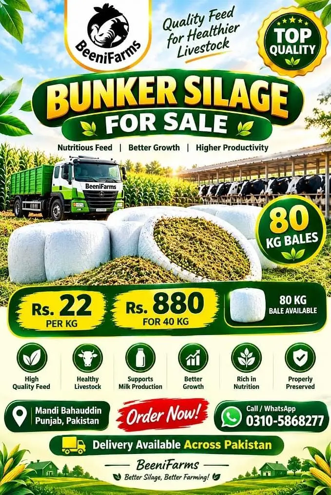 silage | cow feed | Animal feed | silage per kg : 22Rs / 40kg : 880/-