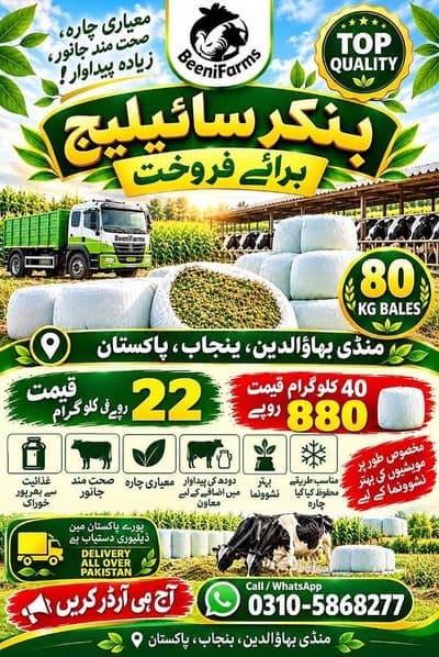 cow feed / Silage / Animals Feed / 40 kg price : 880/- / fresh Silage