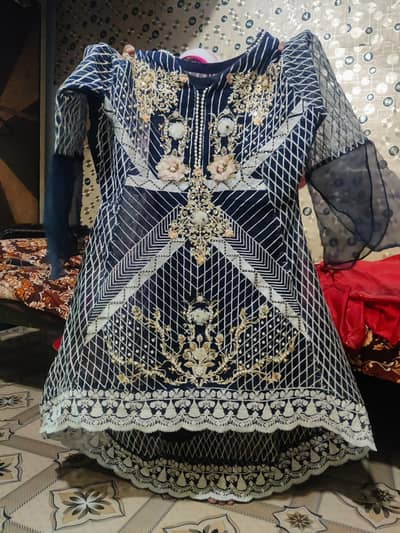Navy Blue Embroidered Net Dress – Used Once