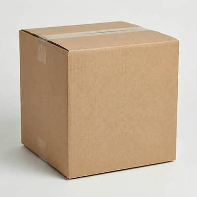 Master Carton