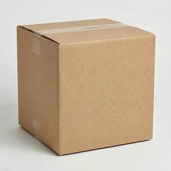 Master Carton 0