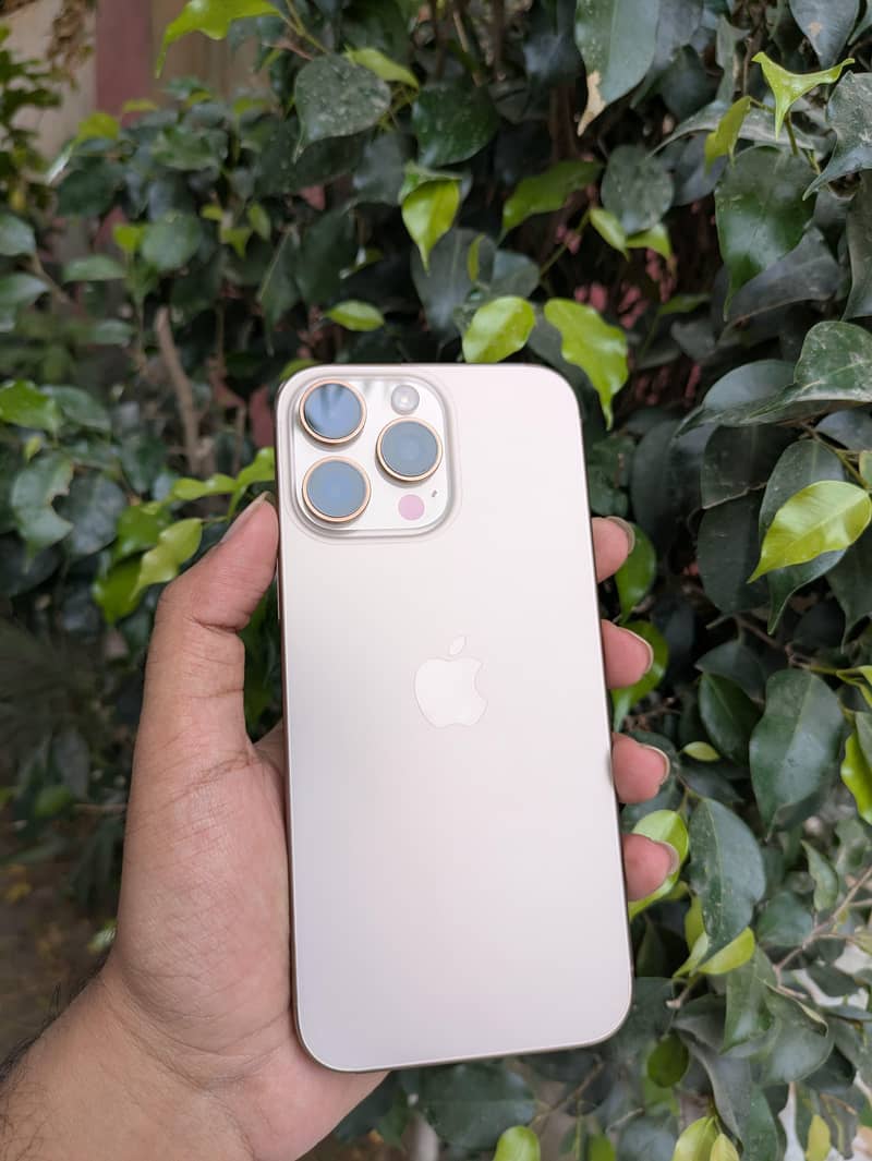 Apple iPhone 16 Pro Max 1