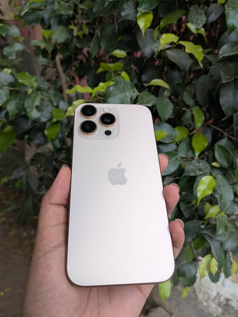 Apple iPhone 16 Pro Max 15