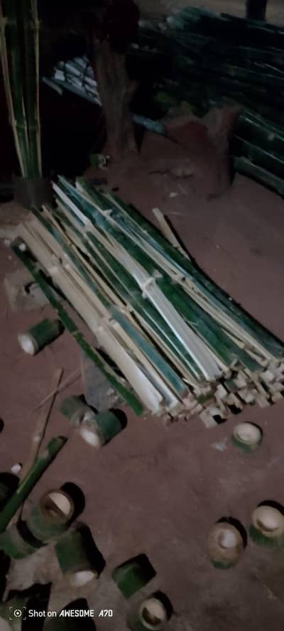 bamboo