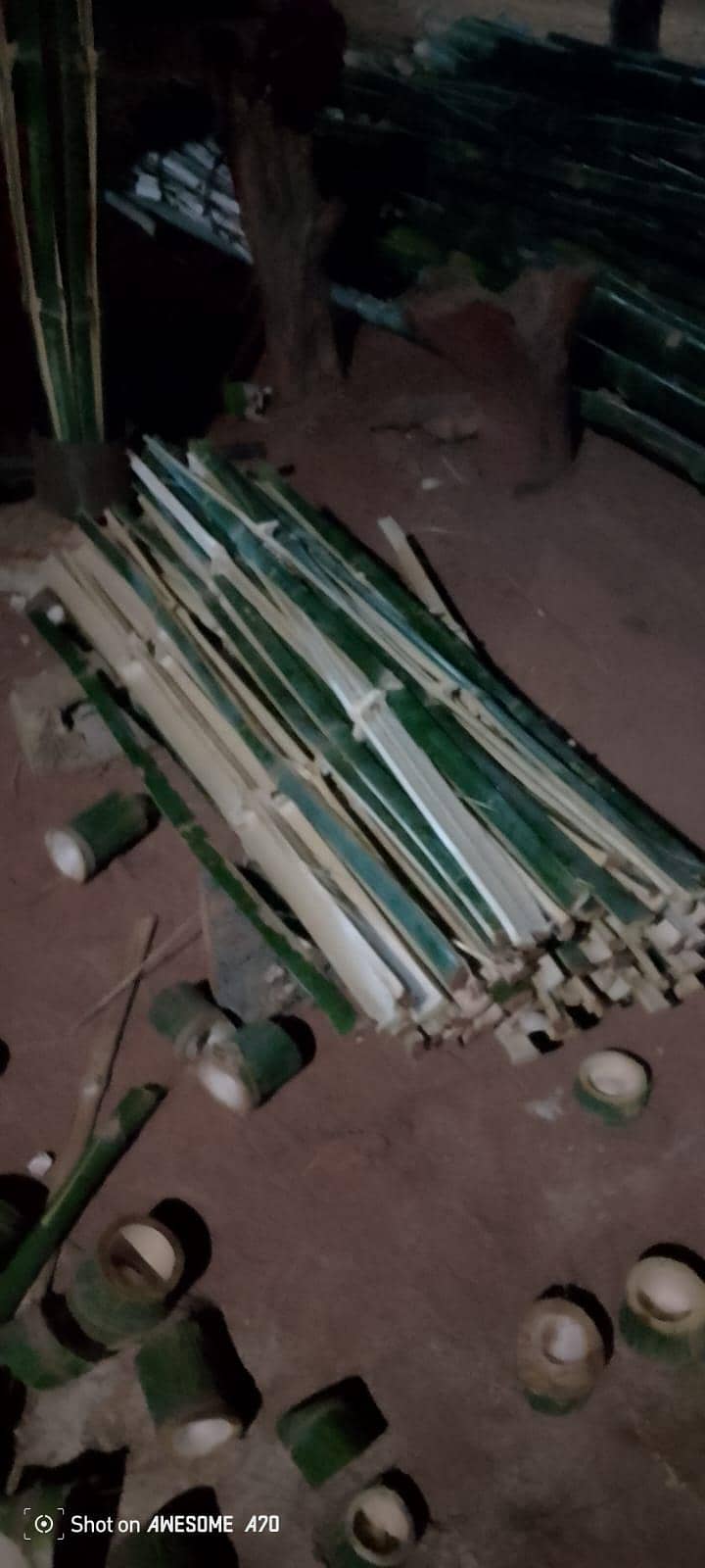 bamboo 0
