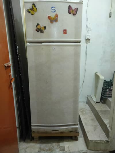 pel fridge