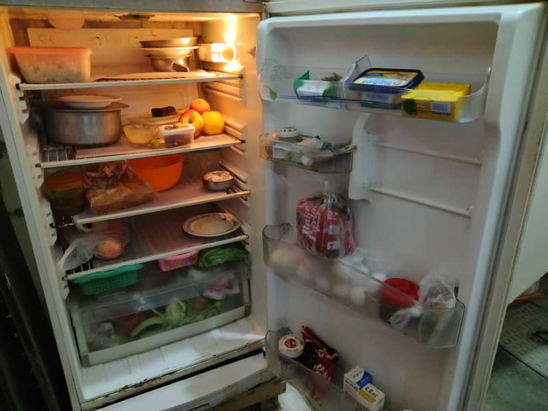 pel fridge 1