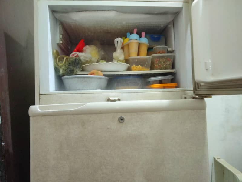 pel fridge 2