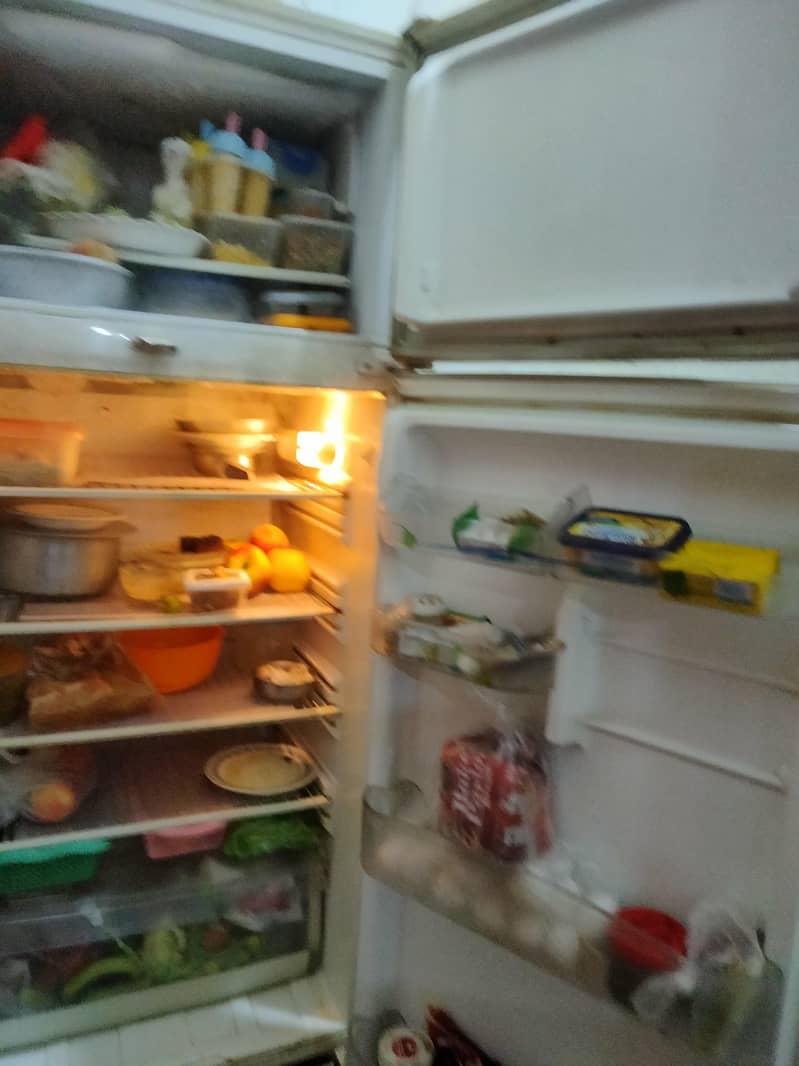 pel fridge 3