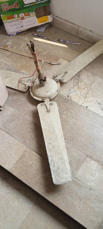 celling fan