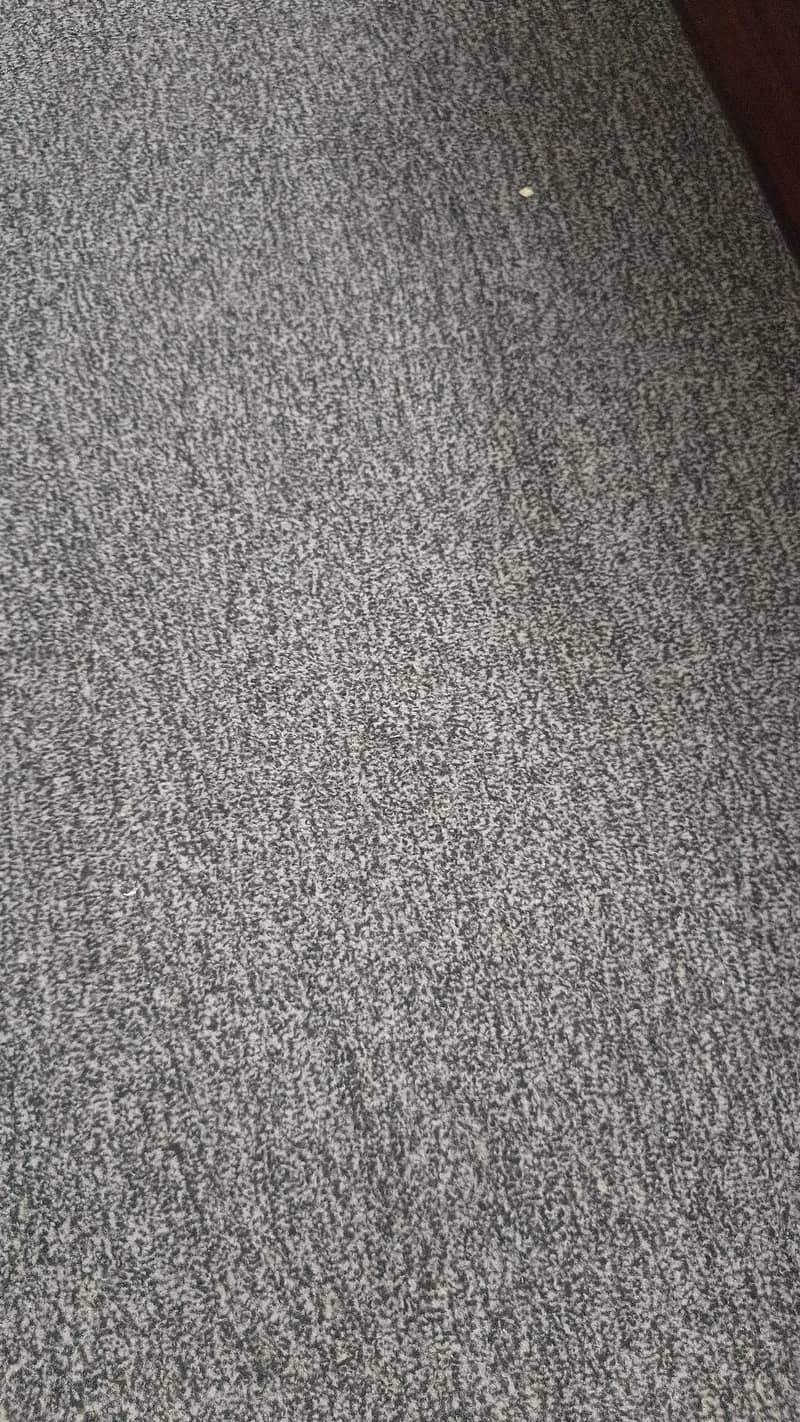 Carpets 2