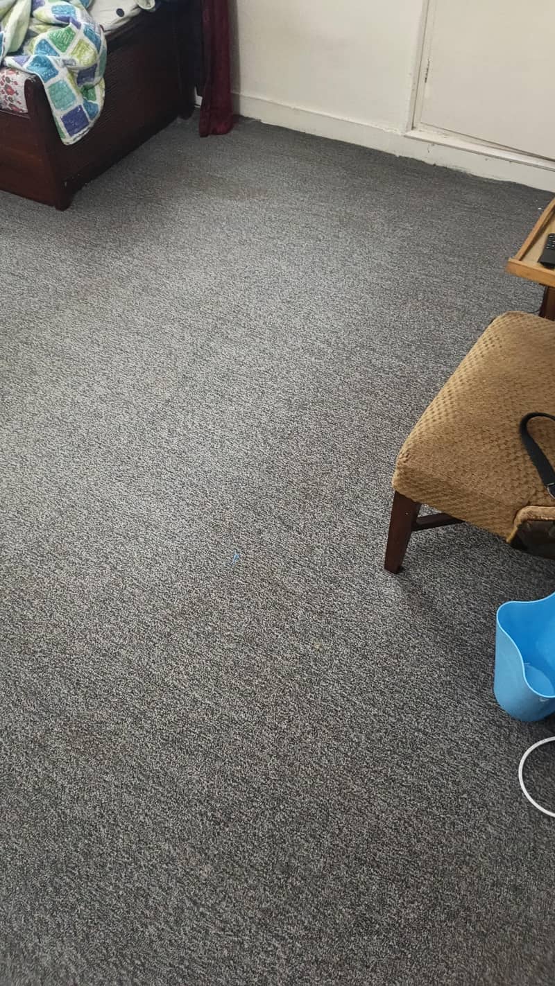 Carpets 3