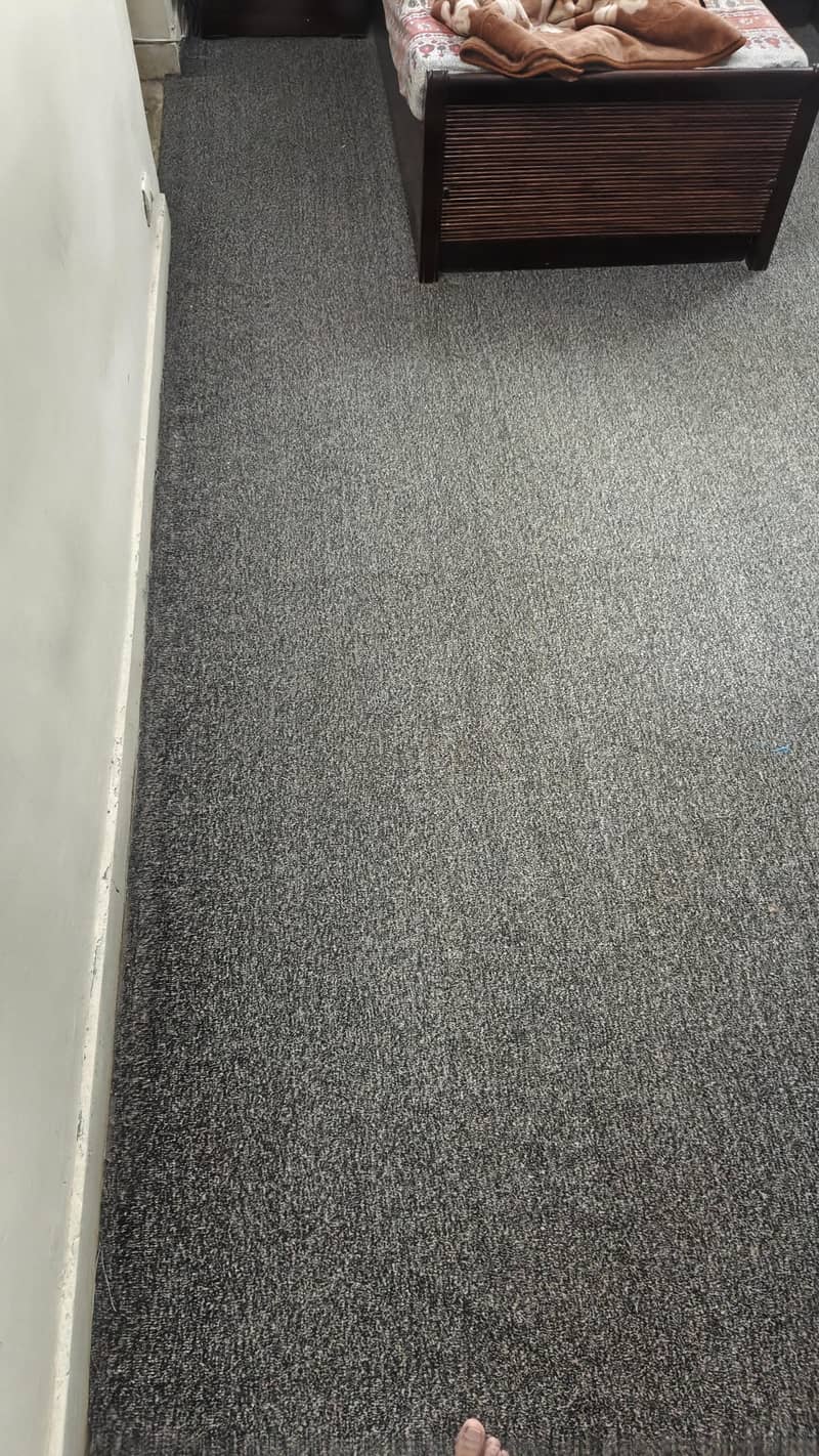 Carpets 4