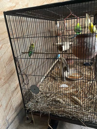 Heavy Duty 4-Feet Bird Flight Cage with Wheels