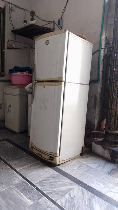PEL Refrigerator For Sale - Working Condition - Gas OK - Urgent Sale