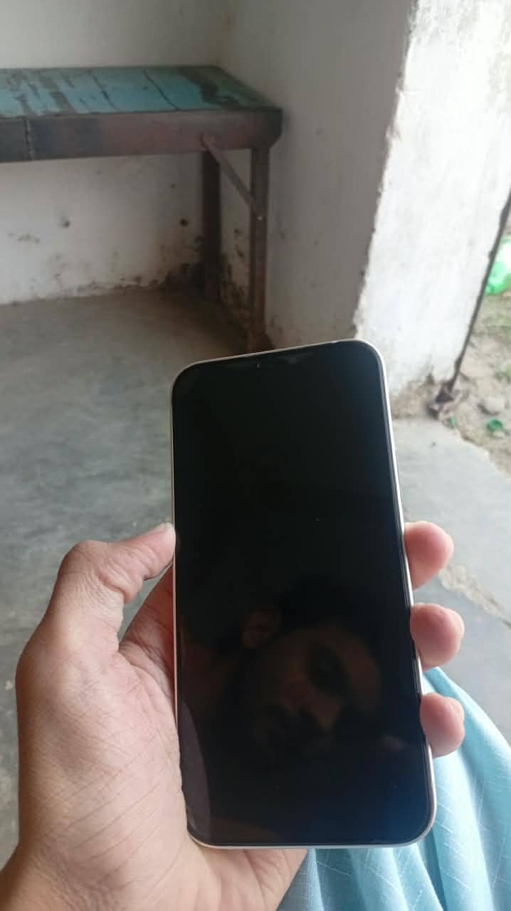 Apple iPhone 12 2