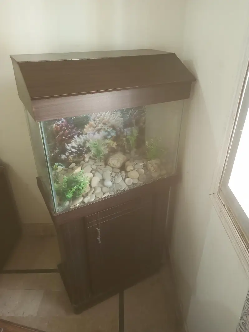 Fish equrium customer build with cabinet — photo 2