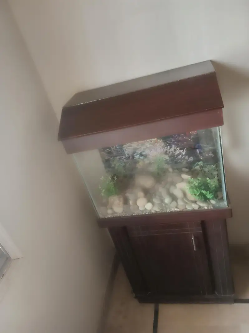 Fish equrium customer build with cabinet — photo 4