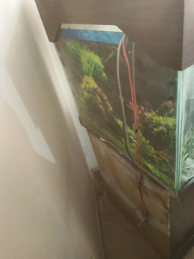 Fish equrium customer build with cabinet — photo 6