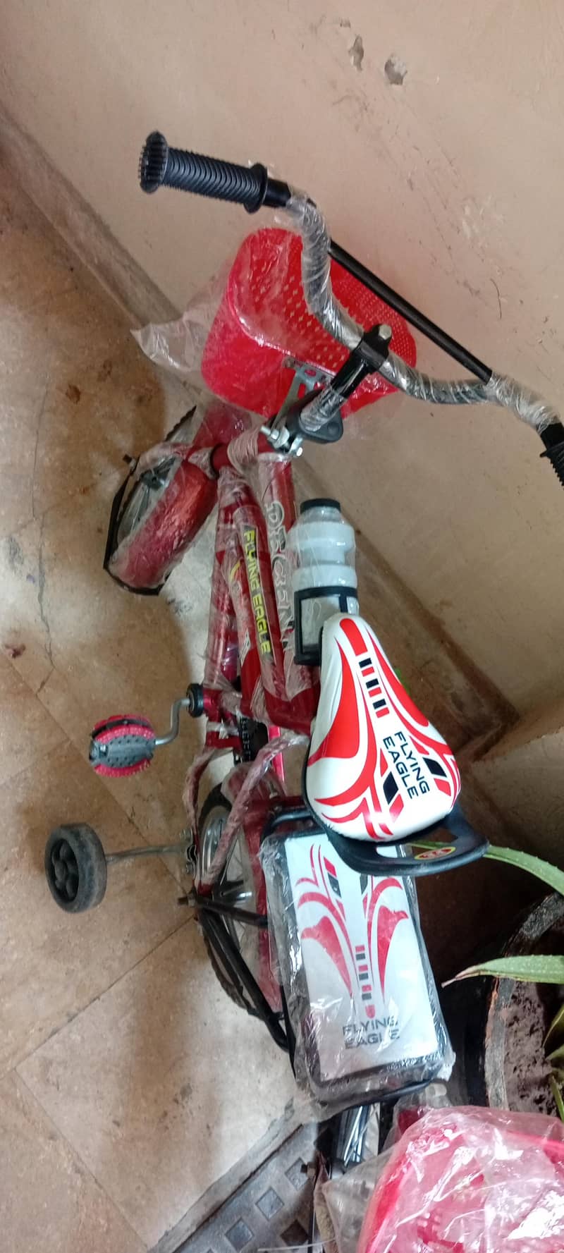 cycle kid 1