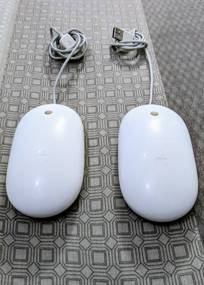 apple mighty mouse/Adesso E1 vertical mouse