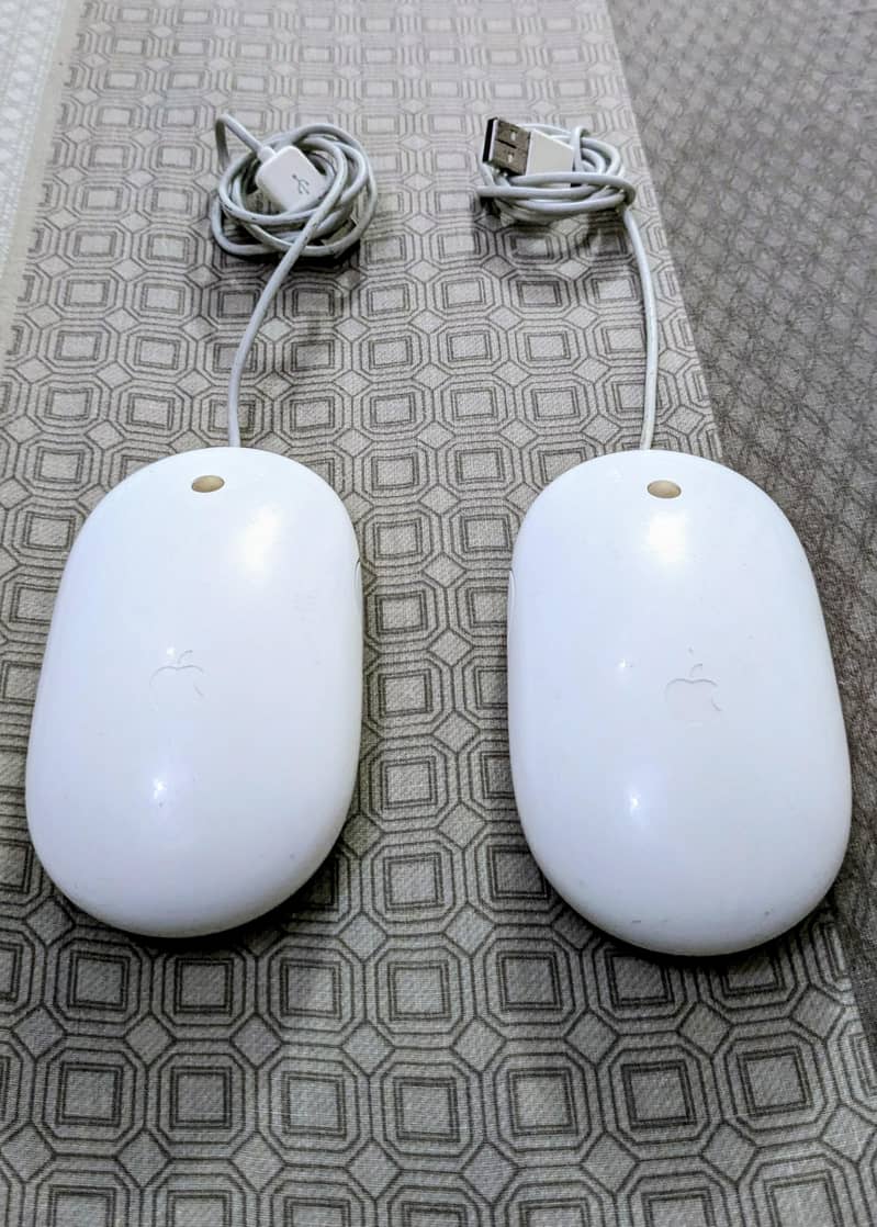 apple mighty mouse/Adesso E1 vertical mouse 0