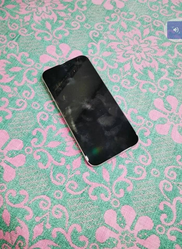 Apple iPhone 15 Pro Max 5