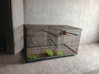 bird cage