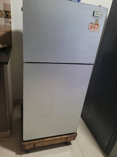 signature refrigerator