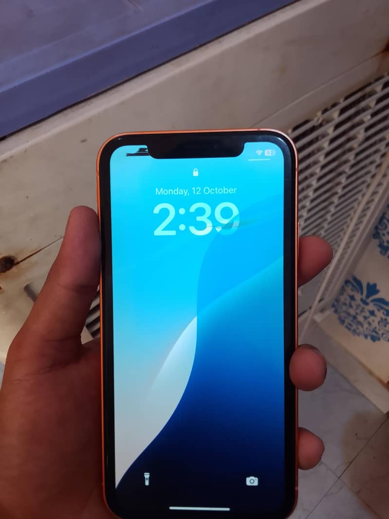 Apple iPhone XR 6