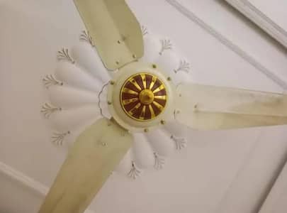 Ceiling fan for sale