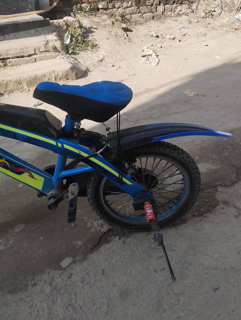 Cycle 4