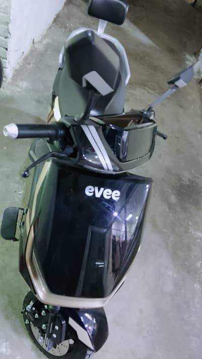 EVEE GEN Z MODEL 2026