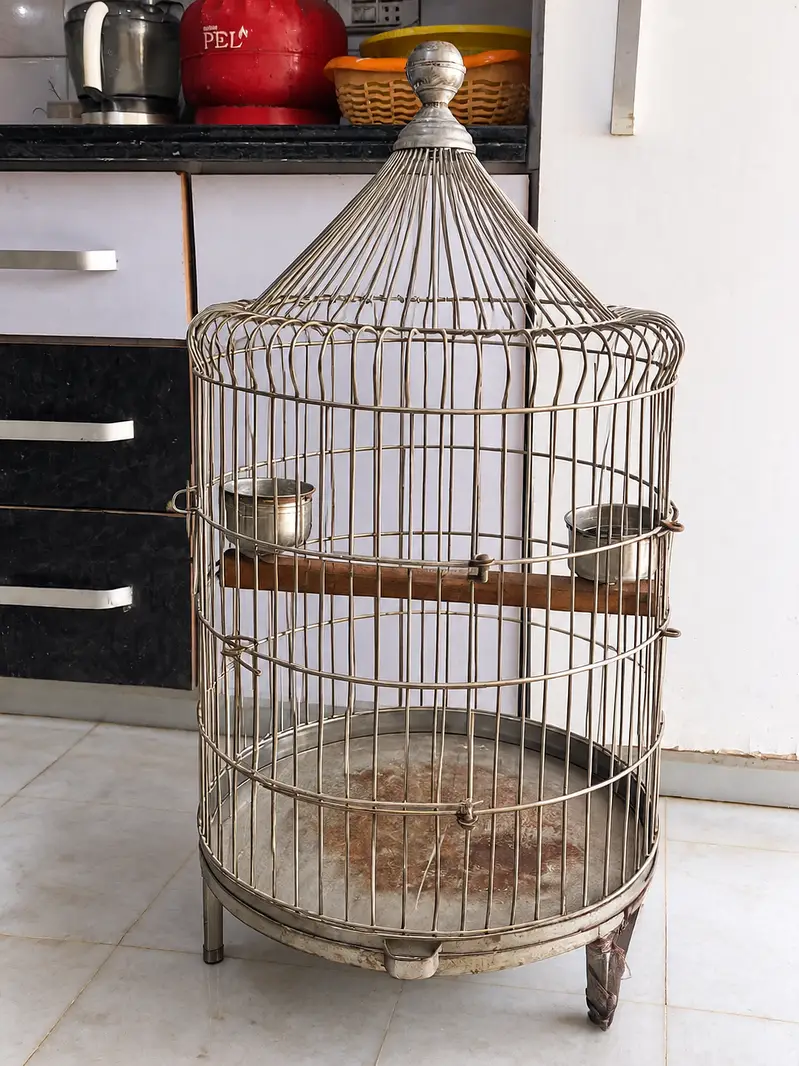 Heavy wire  cage for big  parrot