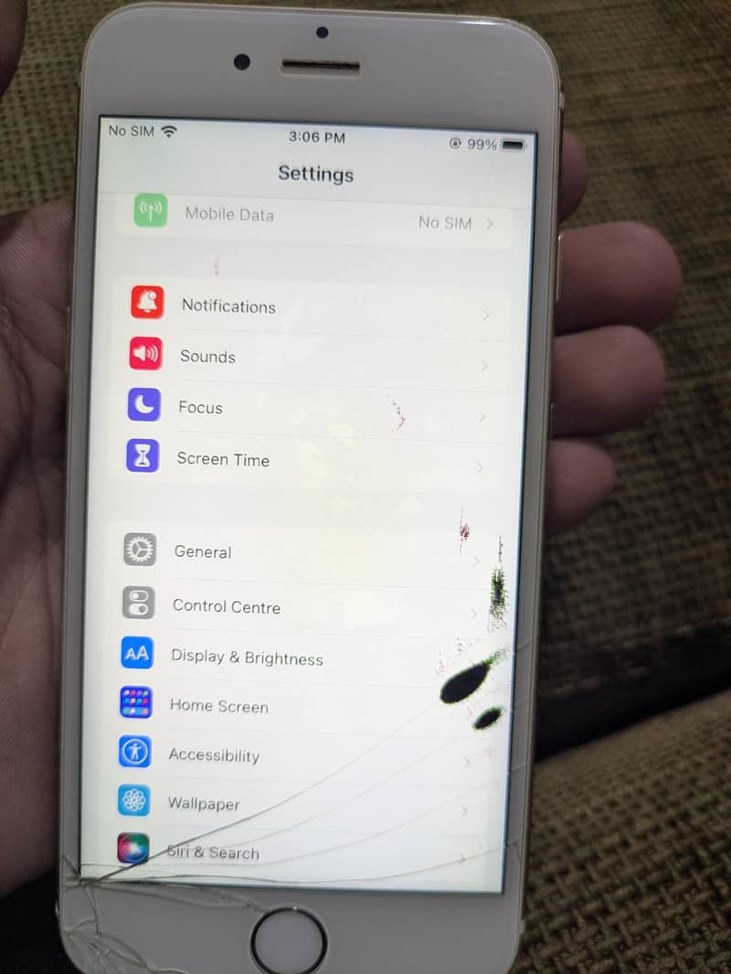 Apple iPhone 6S 1