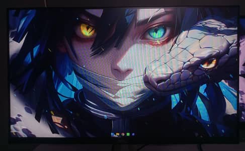 Dell Monitor Screen P2419H