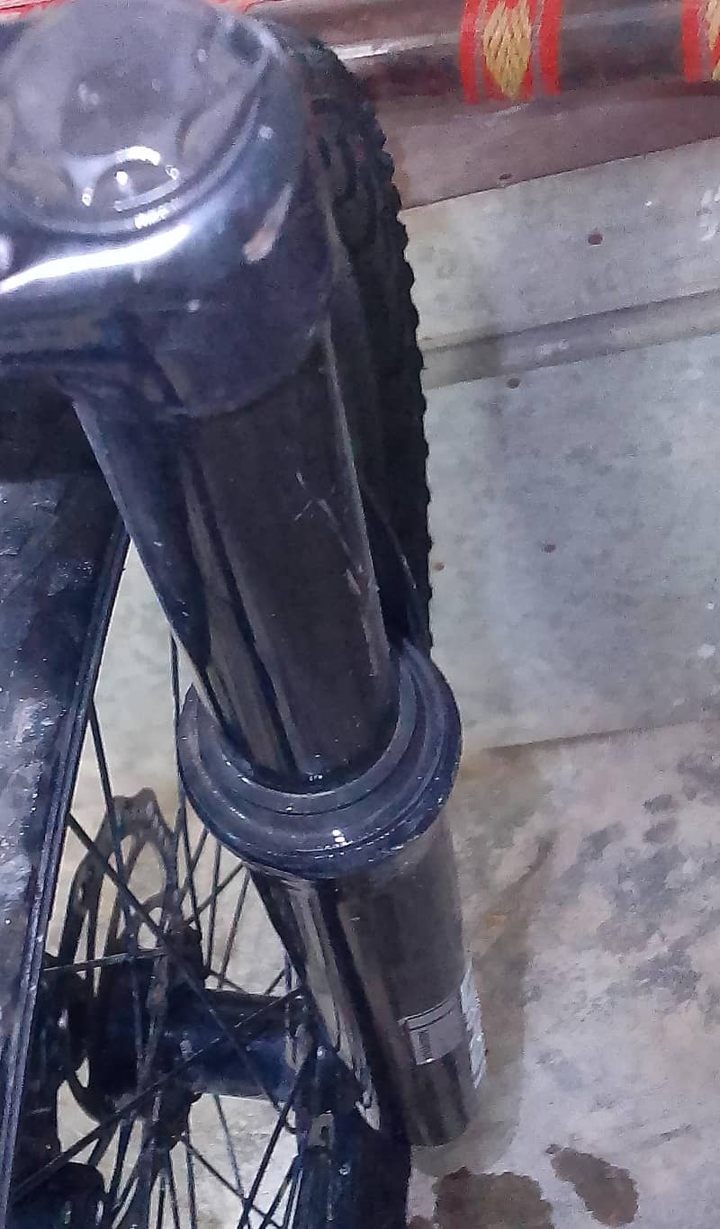 bicycal 1
