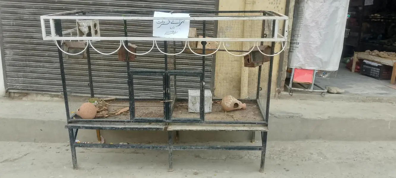 Hen cages