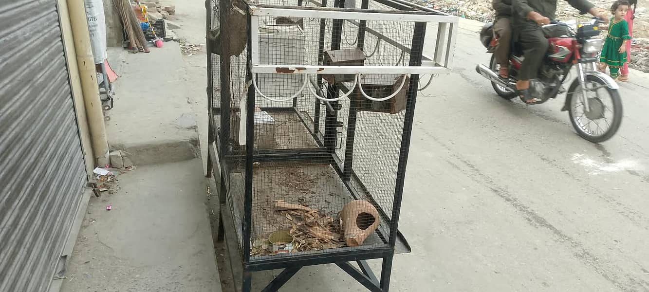 Hen cages 1
