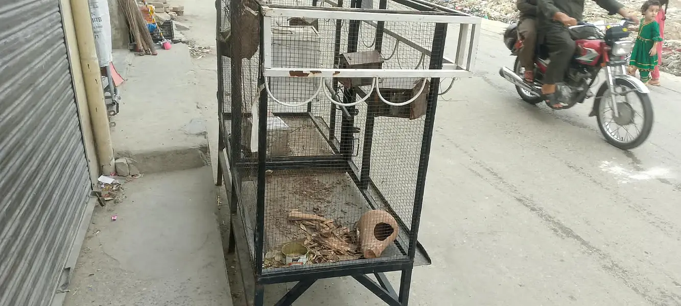 Hen cages — photo 2