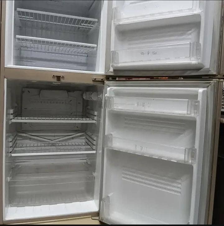 PEL Fridge 1