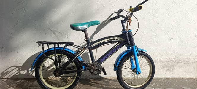kids bicycle in good condition