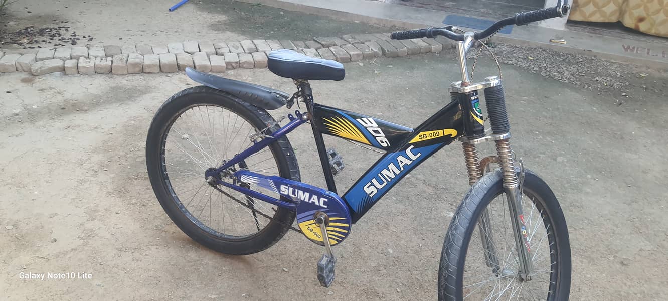 BICYCLE 1