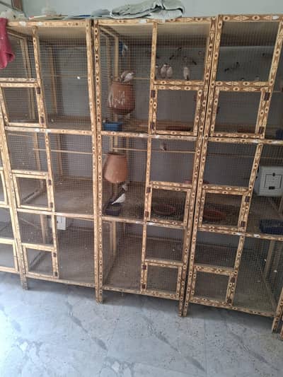 jawa cage