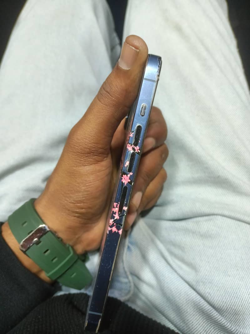 Apple iPhone 13 Pro Max 1